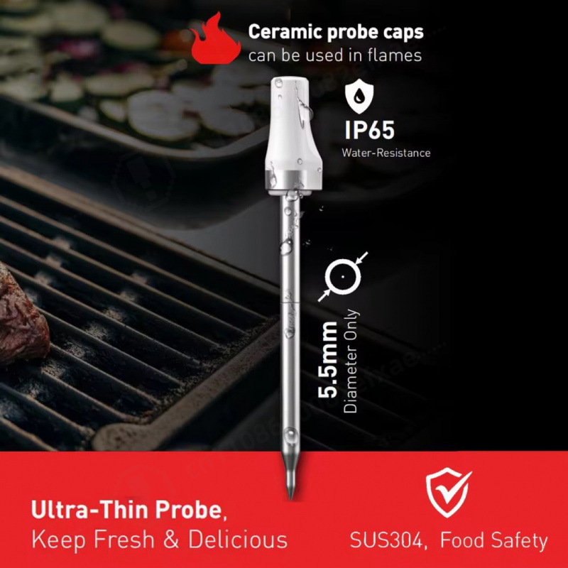 Wireless Bluetooth Smart Meat  - Meat Thermometer Camp 评论和价格